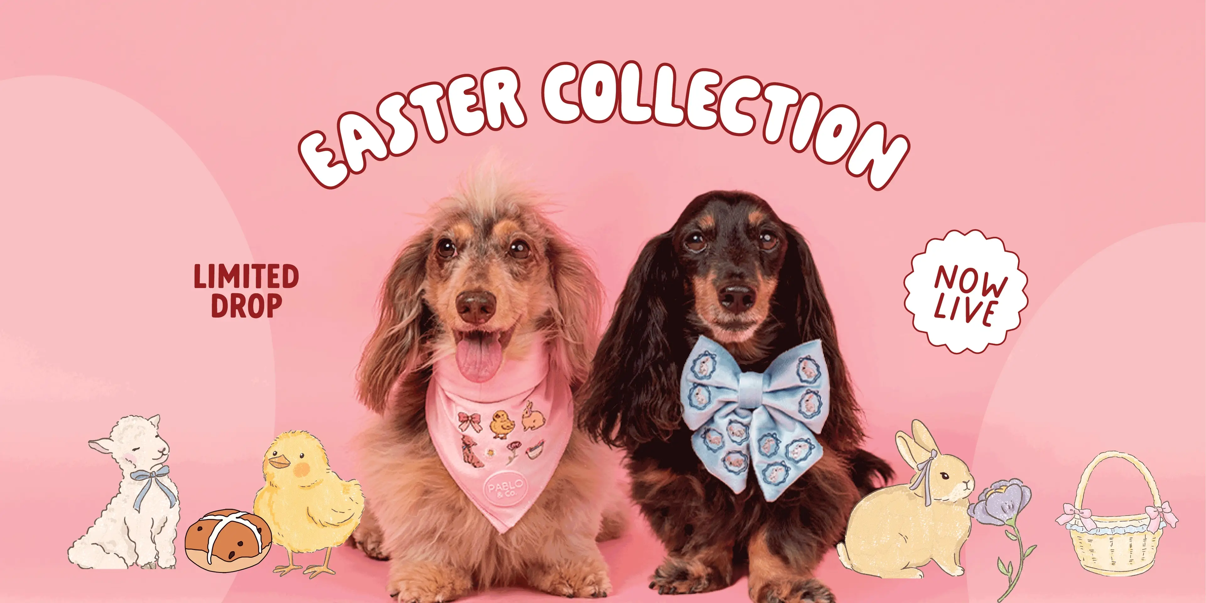 Quirky Style for Furry Friends