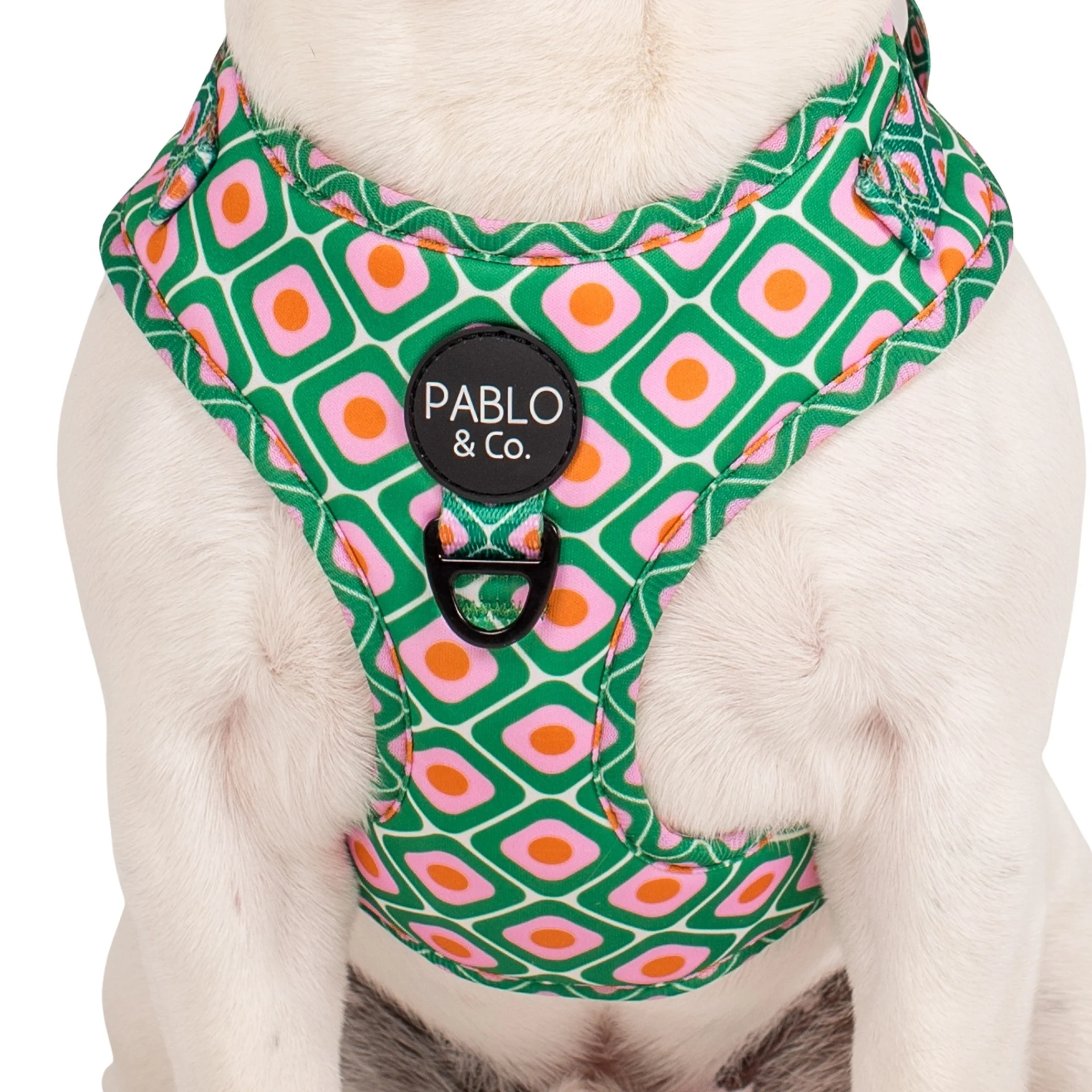 70's Style: Adjustable Harness - Image 2
