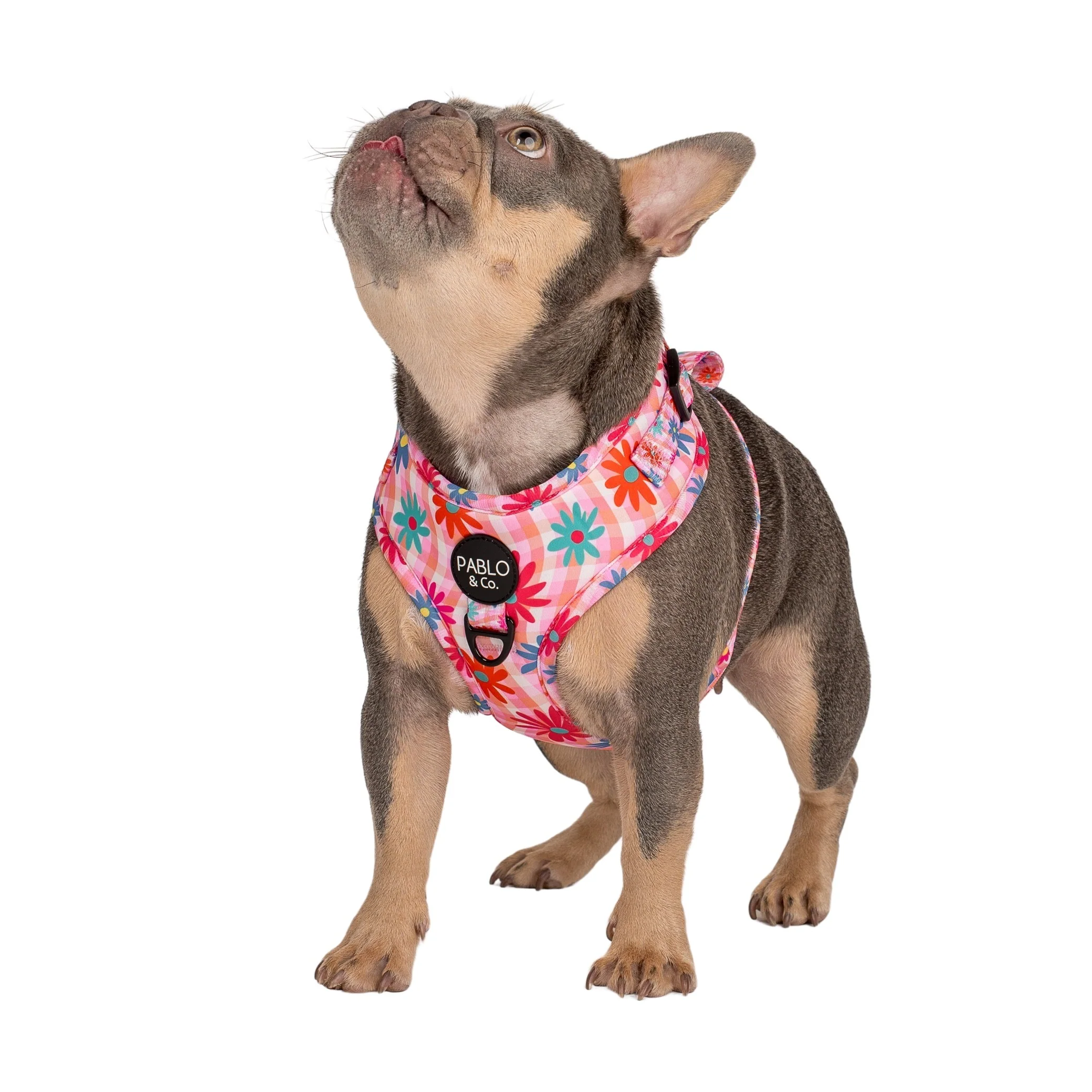 Blossom: Adjustable Harness - Image 11