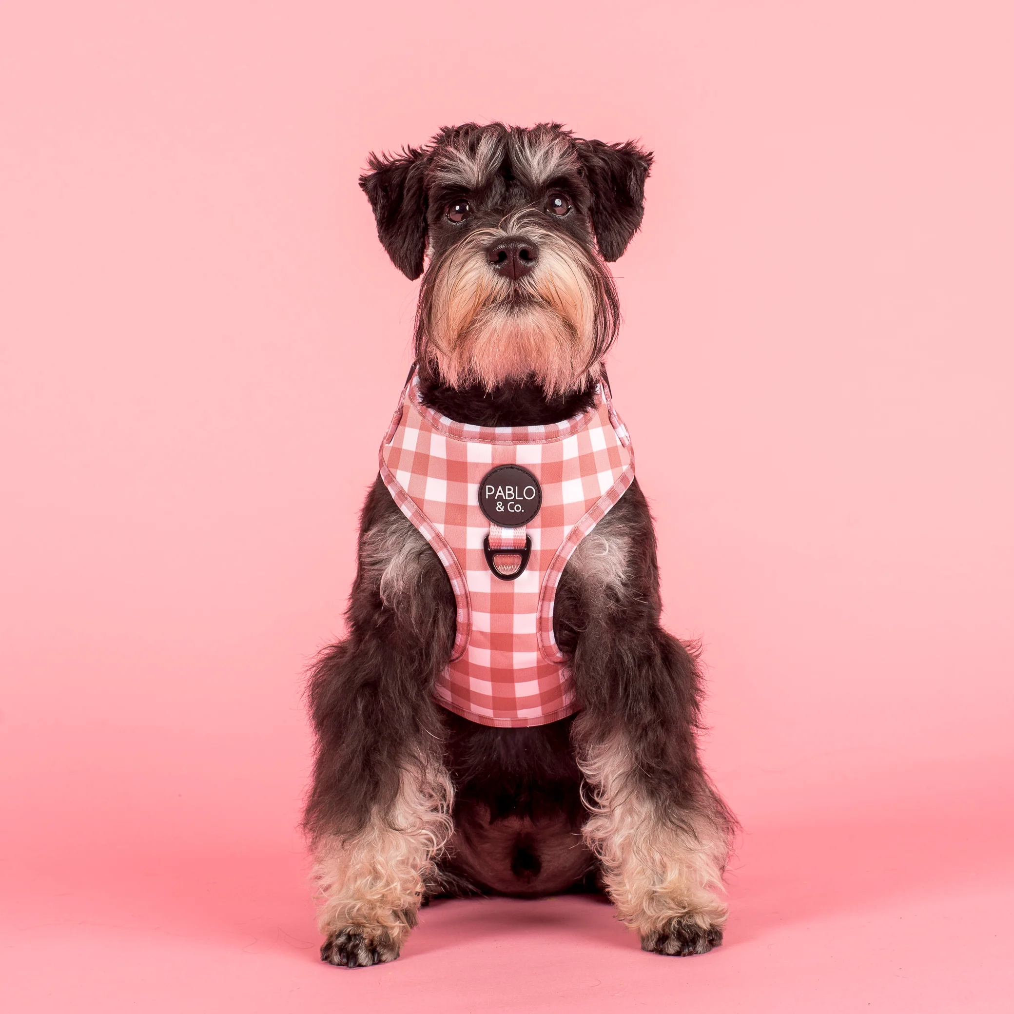 Chocolate Gingham: Adjustable Harness