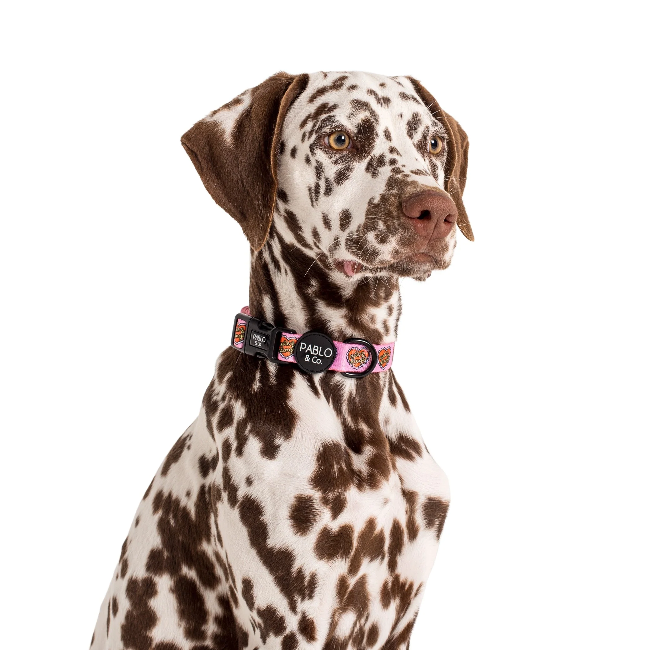 Cute & Clingy Hearts: Collar - Image 2