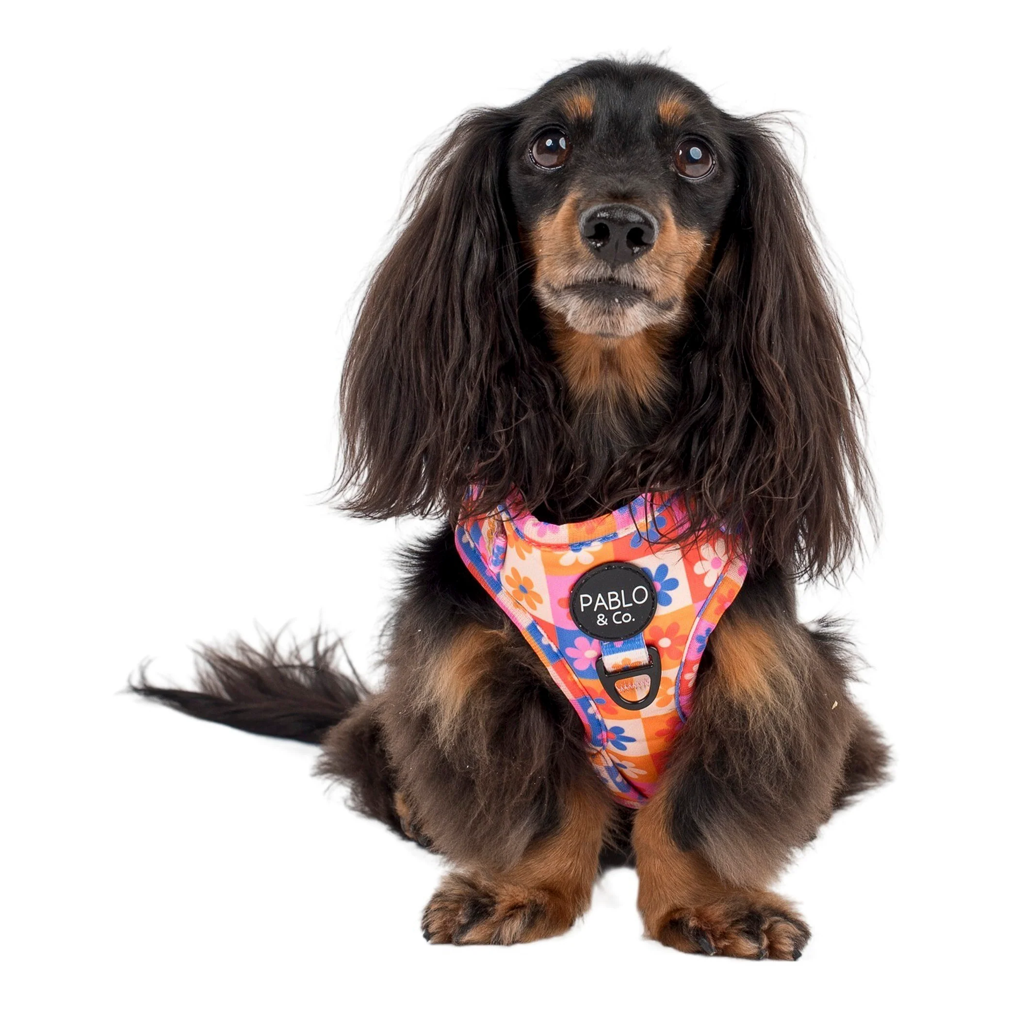 Daisies For Days: Adjustable Harness - Image 4
