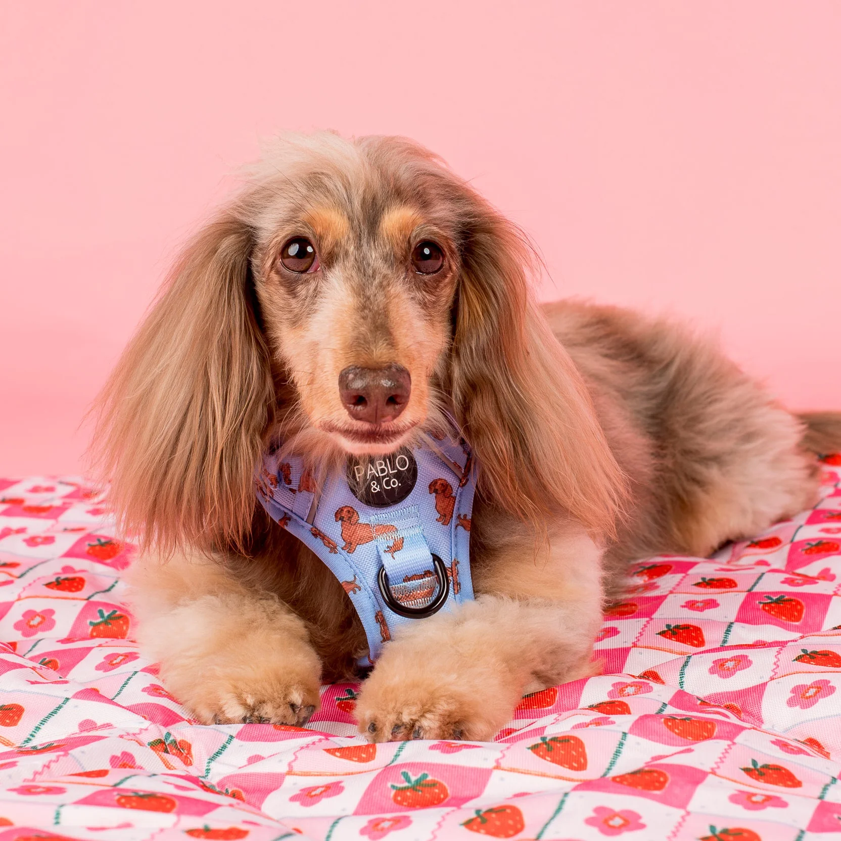 Deluxe Travel Mat: Strawberry Patch & Silly Little Goose - Image 3