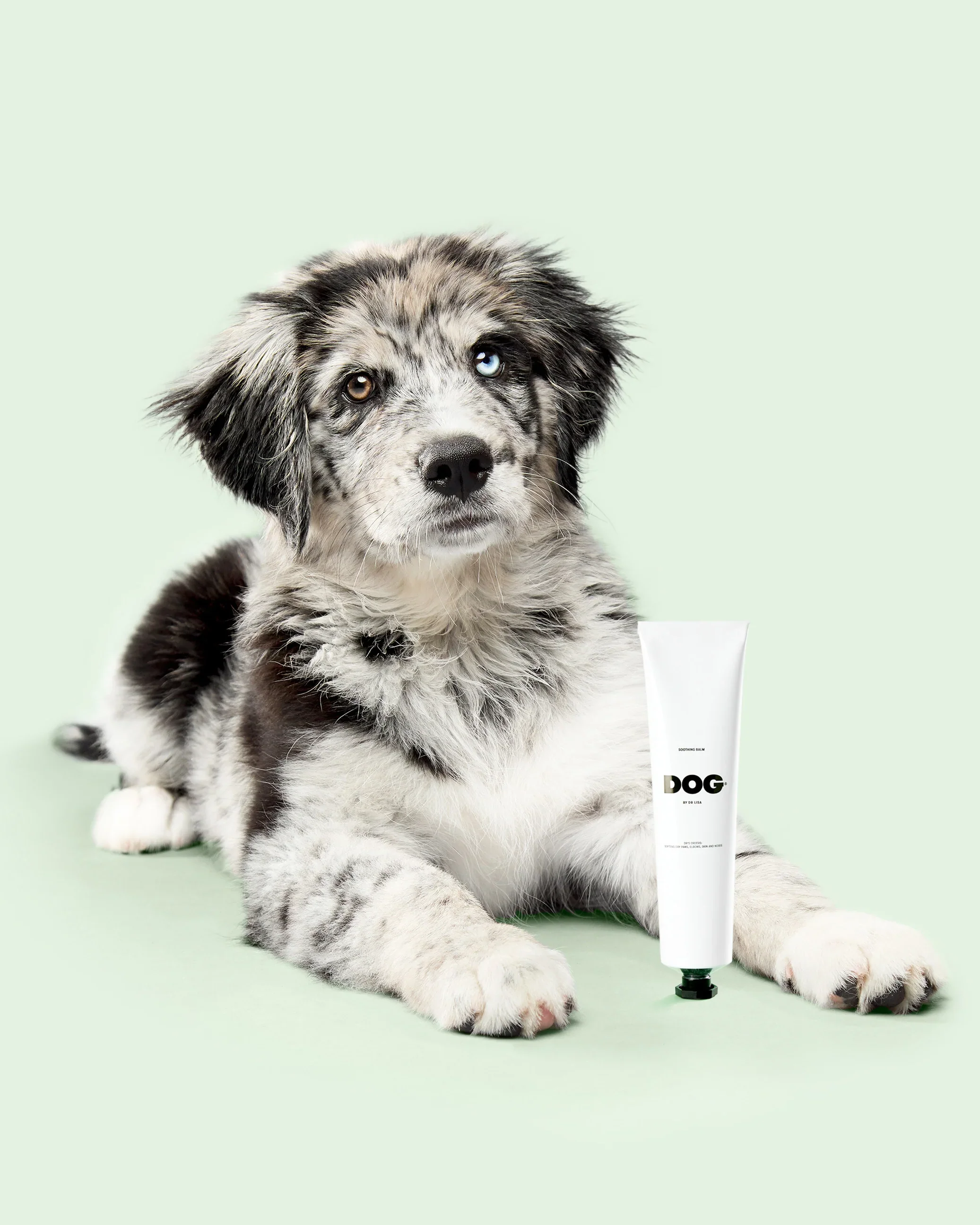 DOG By Dr Lisa Soothing Balm - Image 5