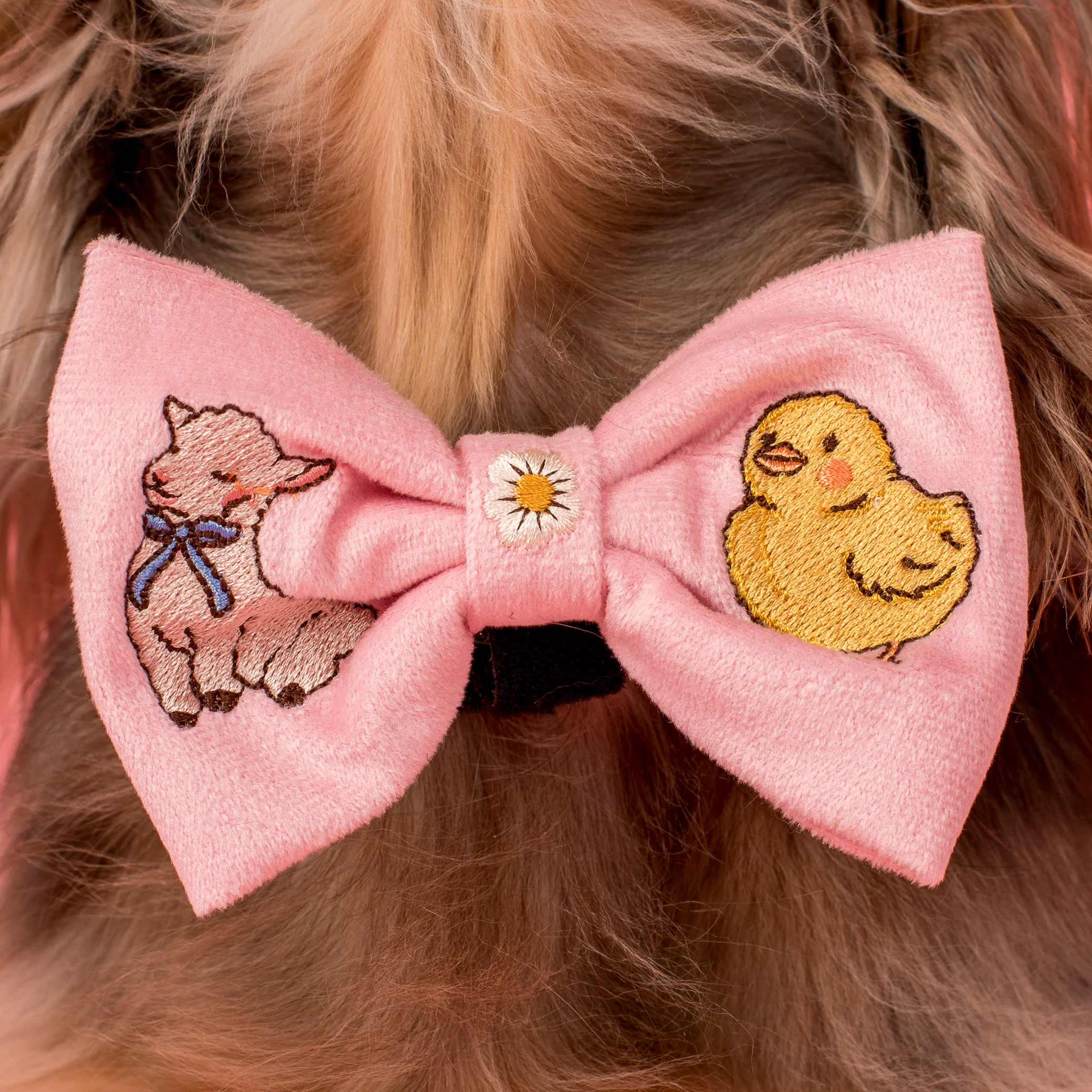 Easter Parade: Bow Tie
