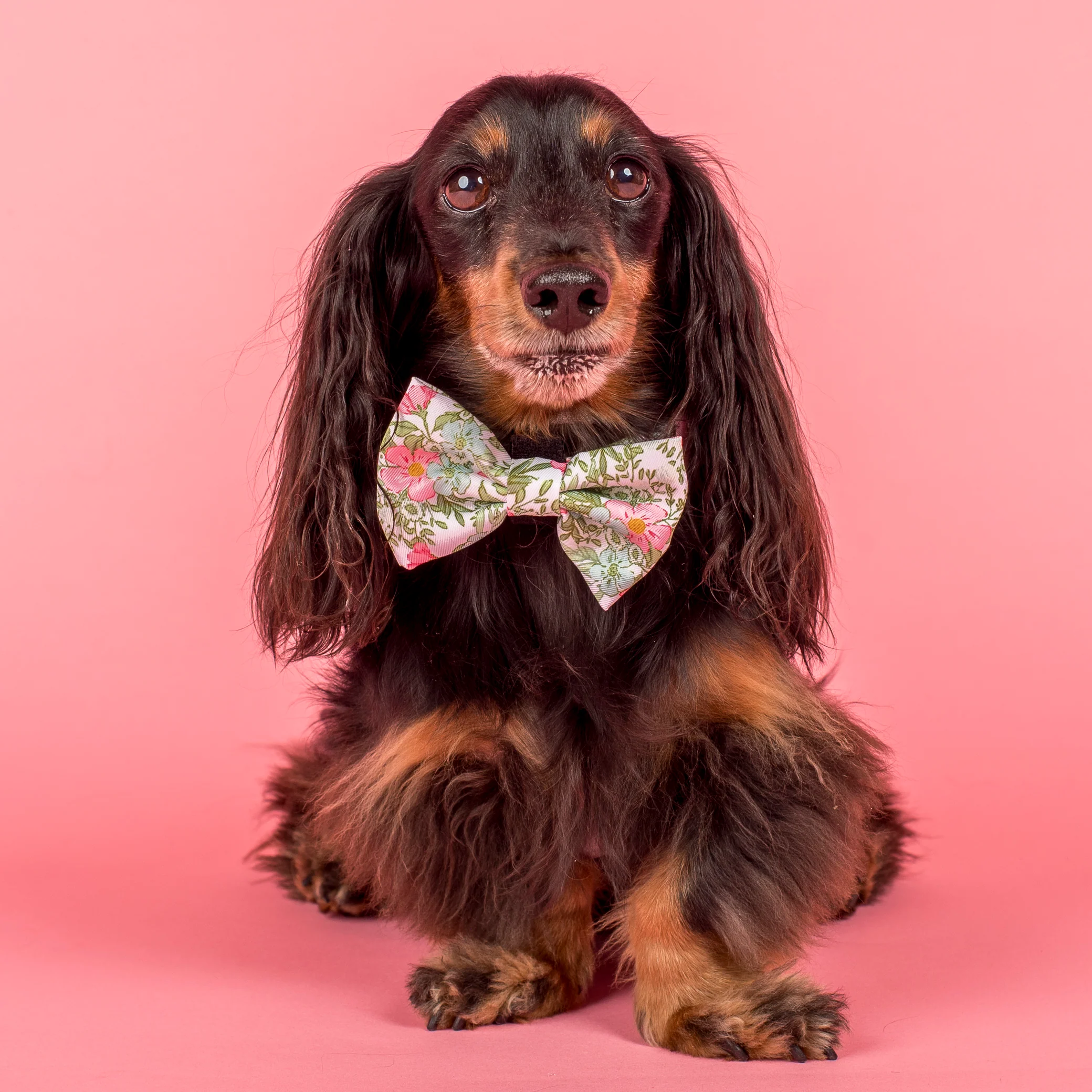 Flora & Fern: Bow Tie