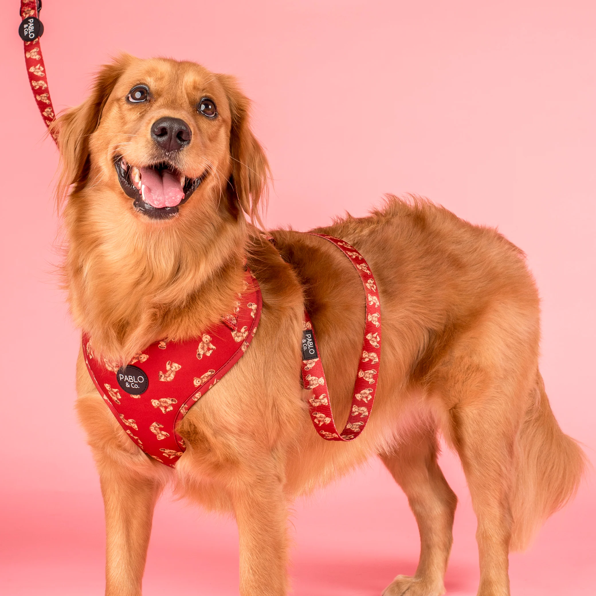 Henry Bear: Adjustable Harness - Image 2