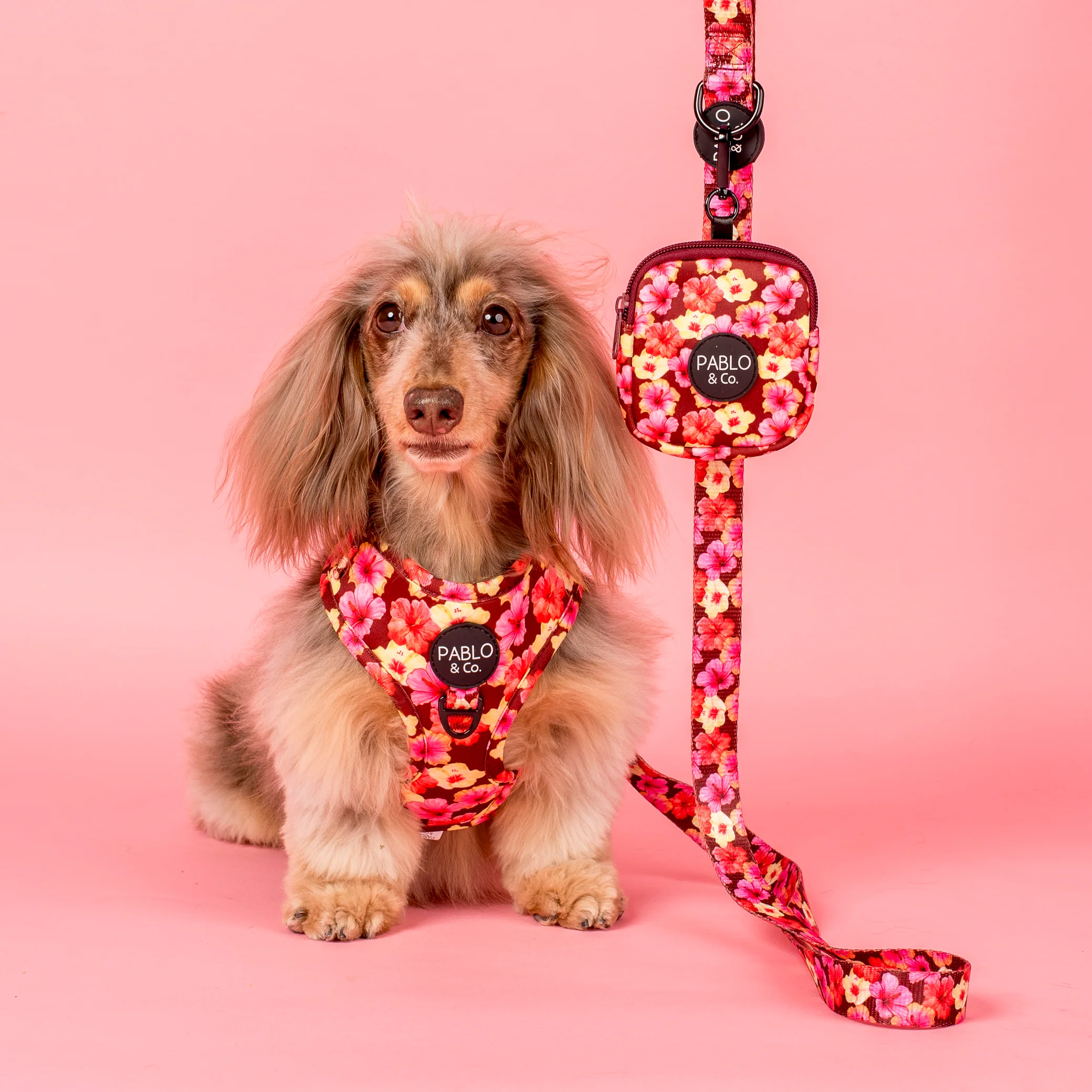 Hibiscus: Adjustable Harness - Image 4