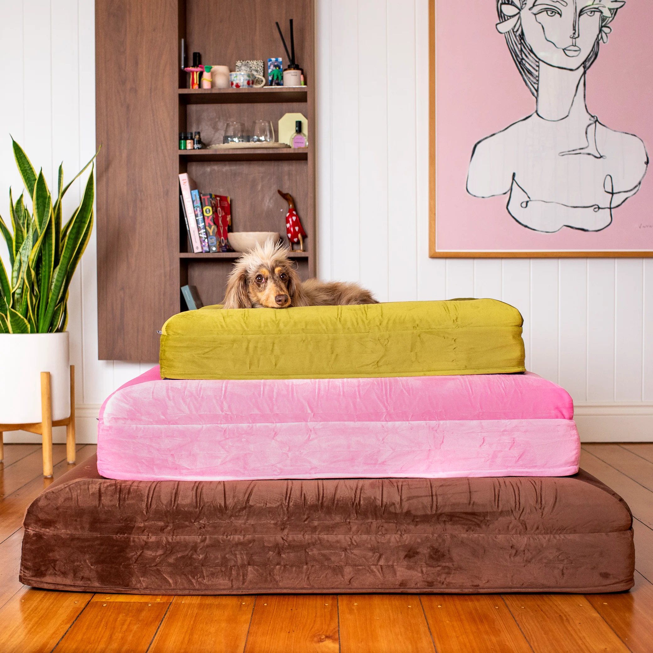 Orthopedic Memory Foam Velvet Dog Bed: Strawberries & Cream - Image 23