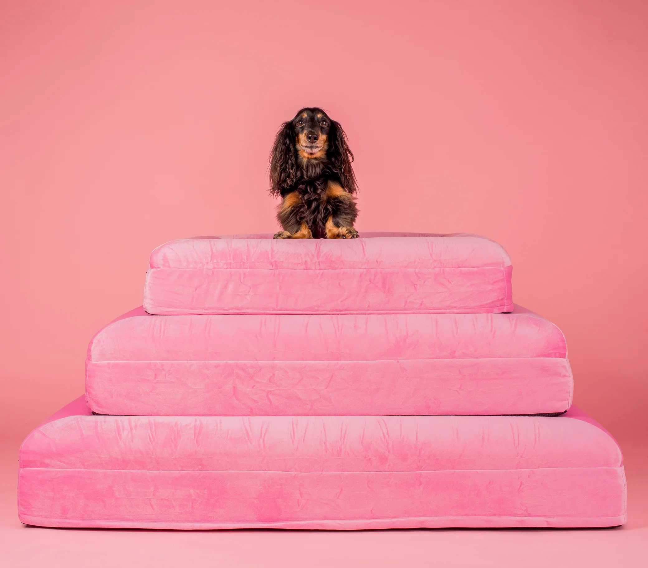 Orthopedic Memory Foam Velvet Dog Bed: Strawberries & Cream - Image 7
