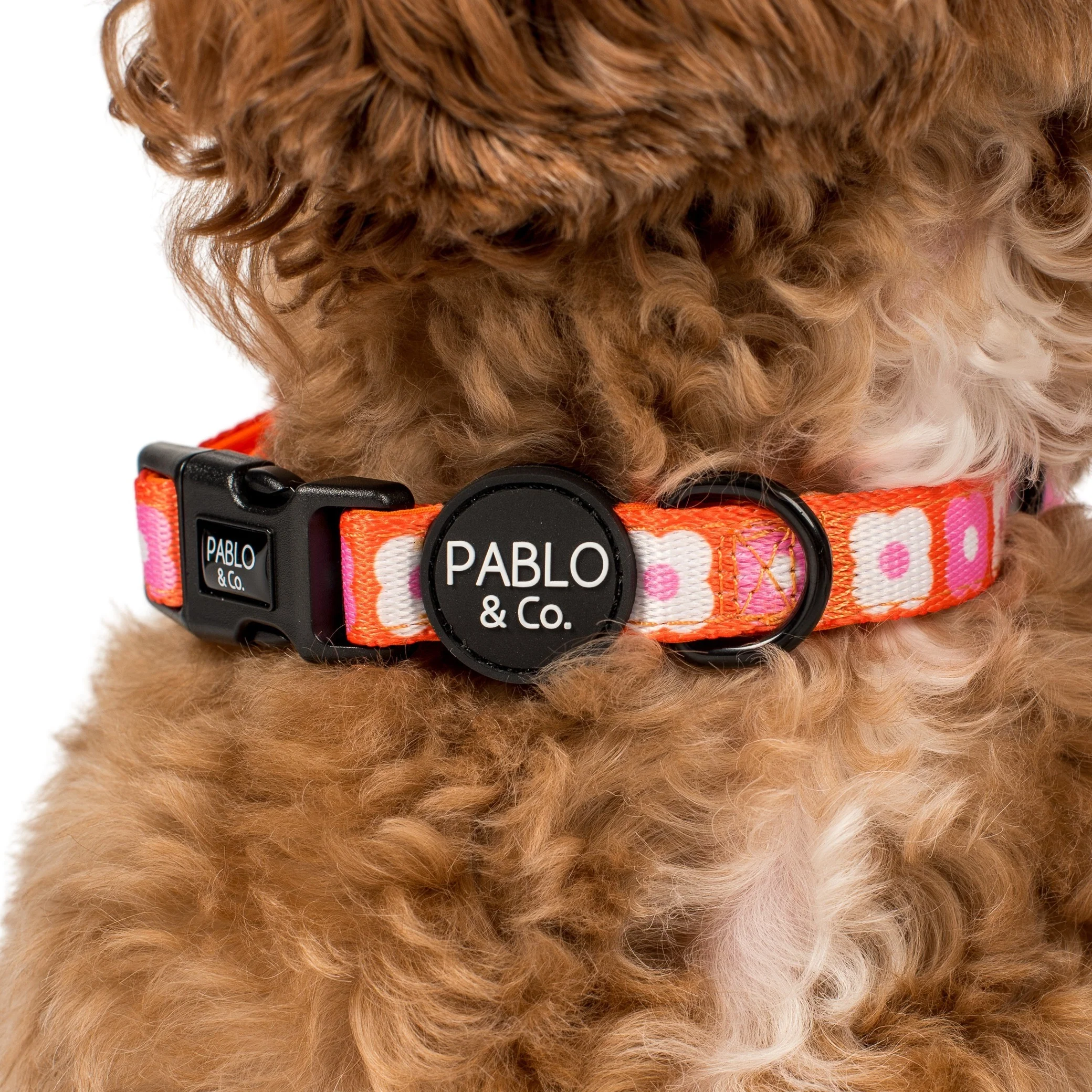 Pink Checkered Daisies: Collar - Image 2