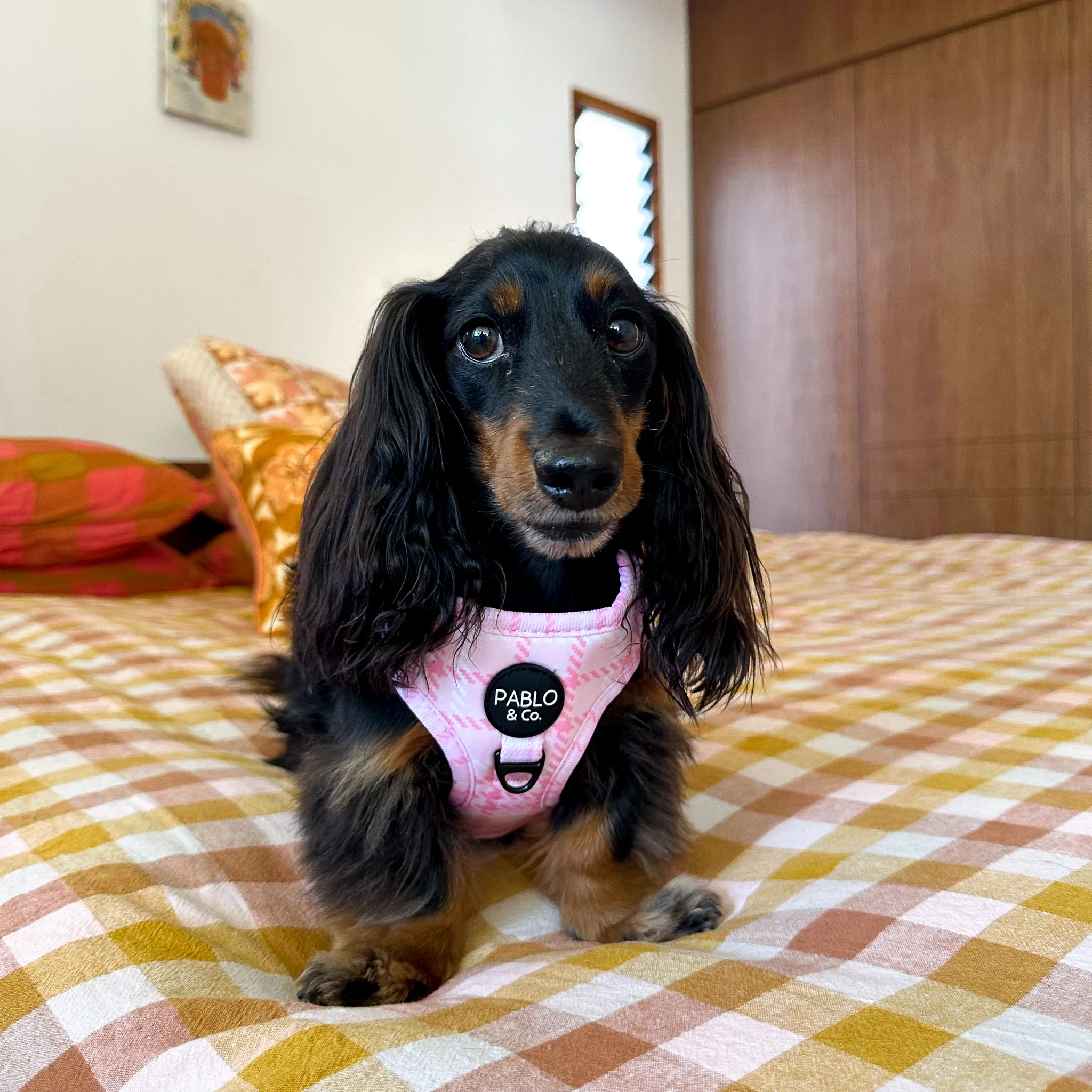 Pink Houndstooth: Adjustable Harness - Image 3