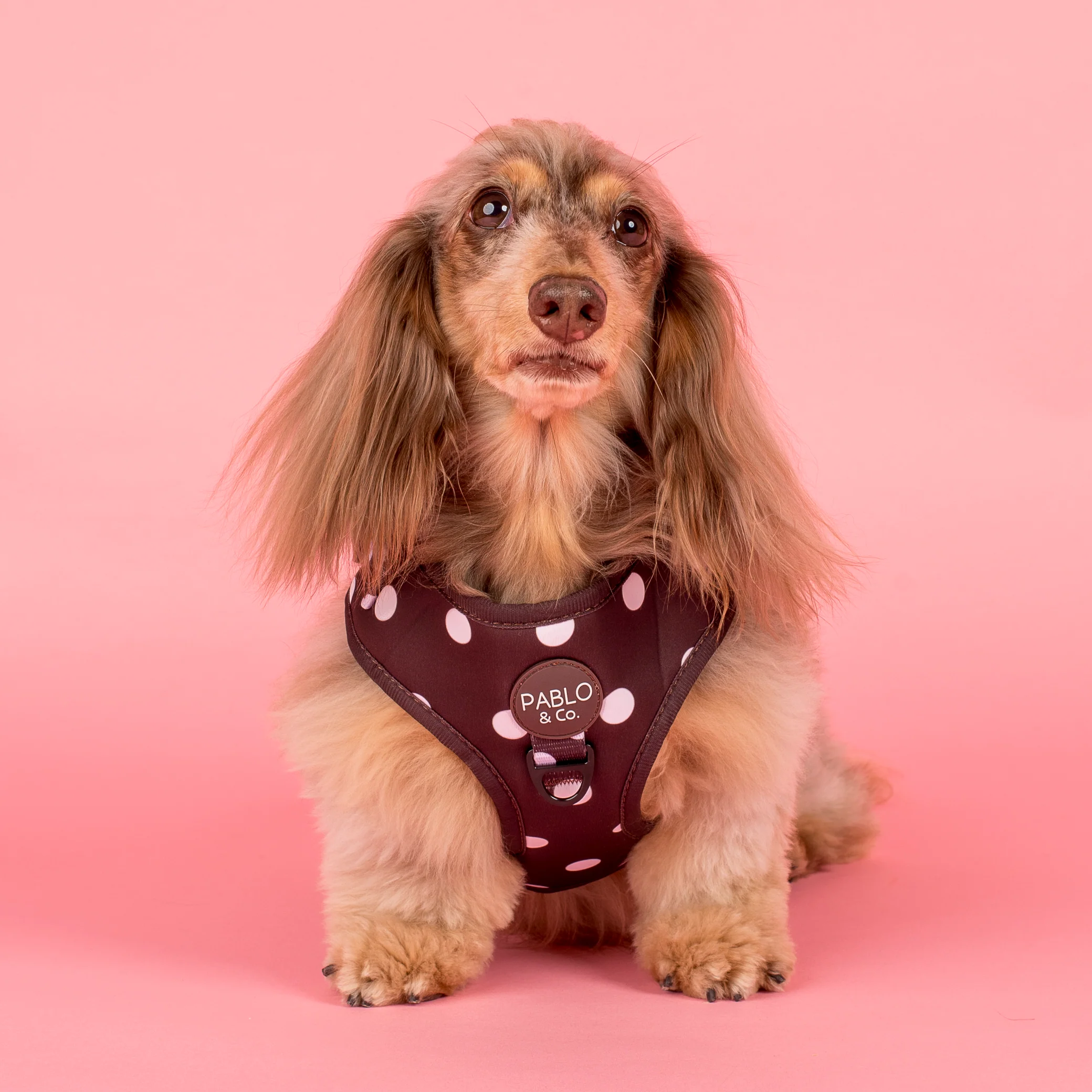 Polka Dots: Adjustable Harness