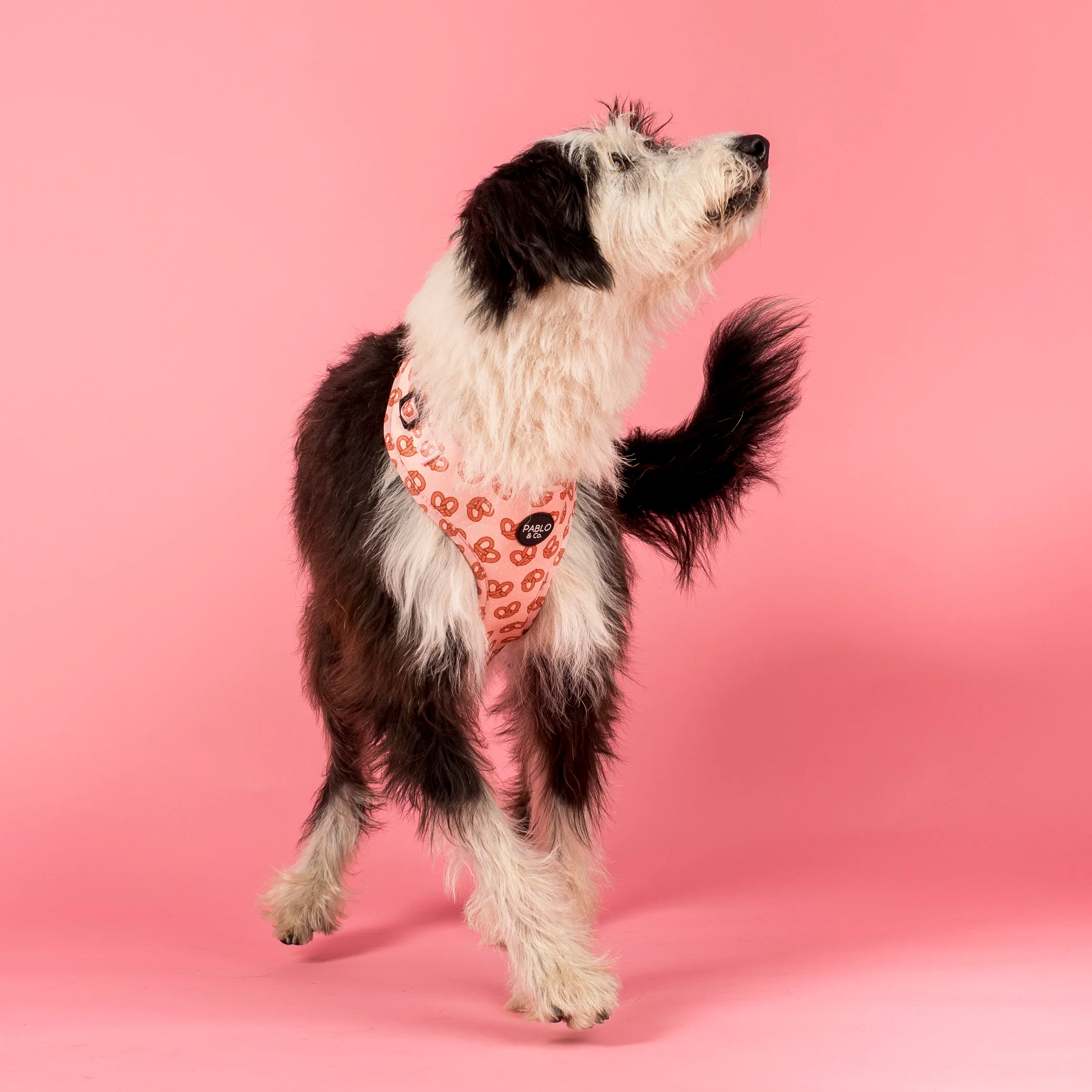 Pretzels: Adjustable Harness - Image 2