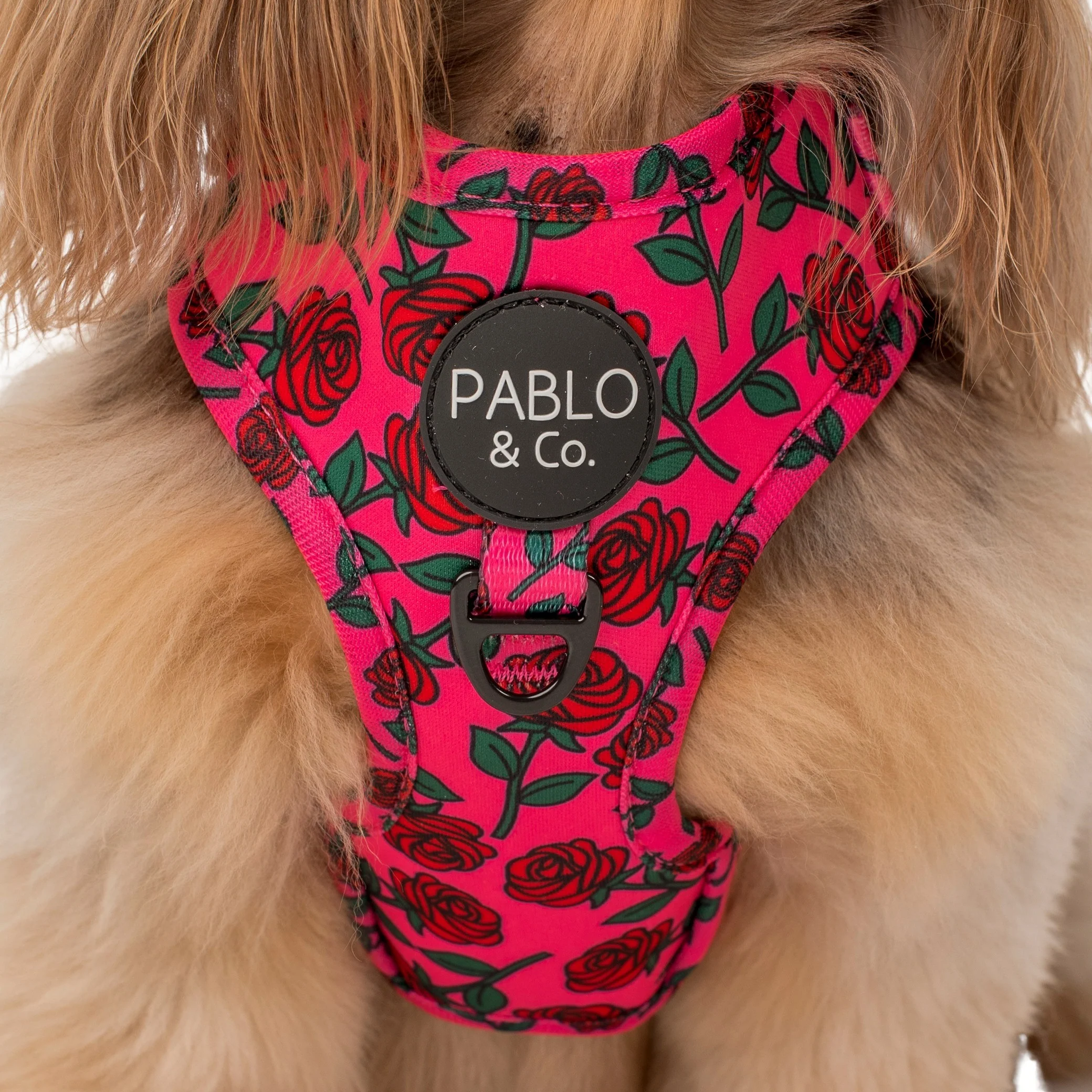 Rosie: Adjustable Harness - Image 5