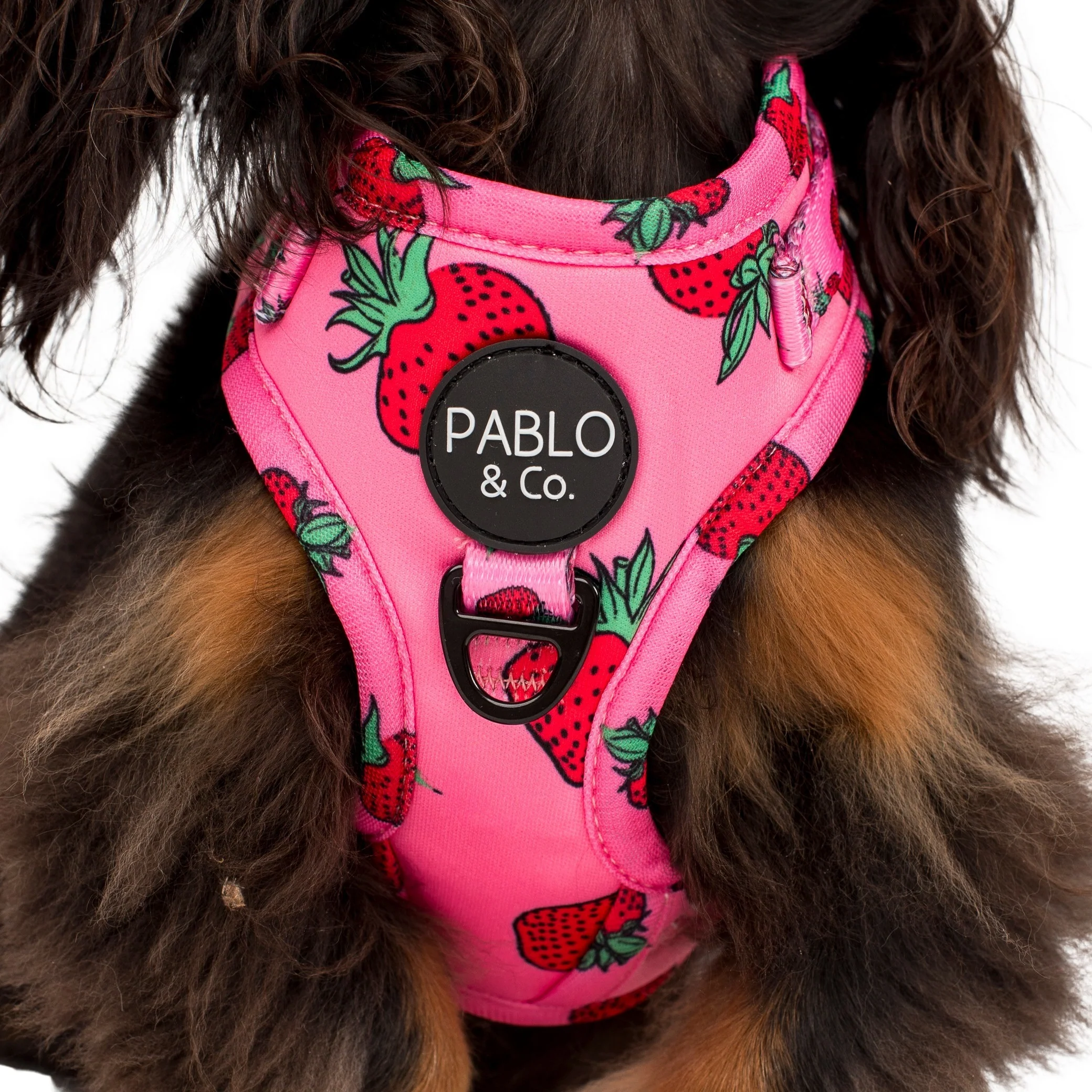 Strawberries: Adjustable Harness - Image 8