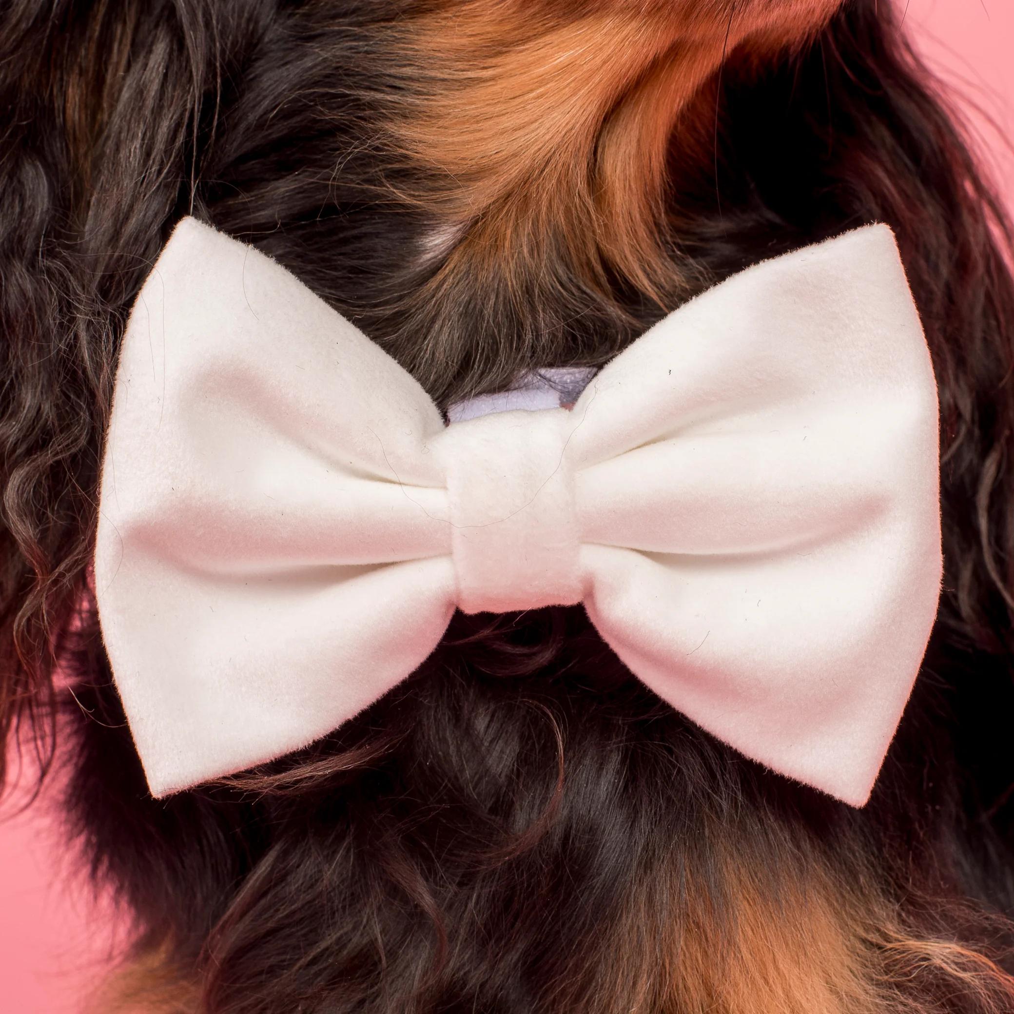 White Velvet Bow Tie - Image 2